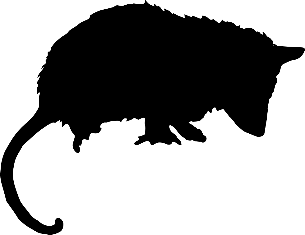 Opossum Mammal Animal Silhouette Comments - Gambá Vetor (981x756), Png Download