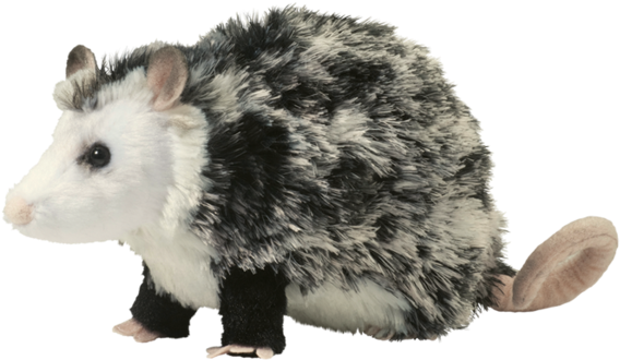 Douglas Oliver Possum - Possum Plush (600x600), Png Download