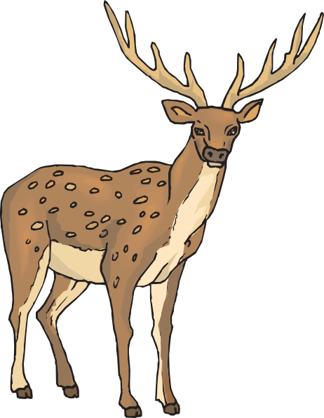 Deer With Large Antlers Svg Clip Arts 462 X 596 Px (462x596), Png Download