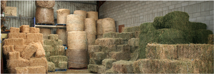Hay - Brendale Produce (688x259), Png Download
