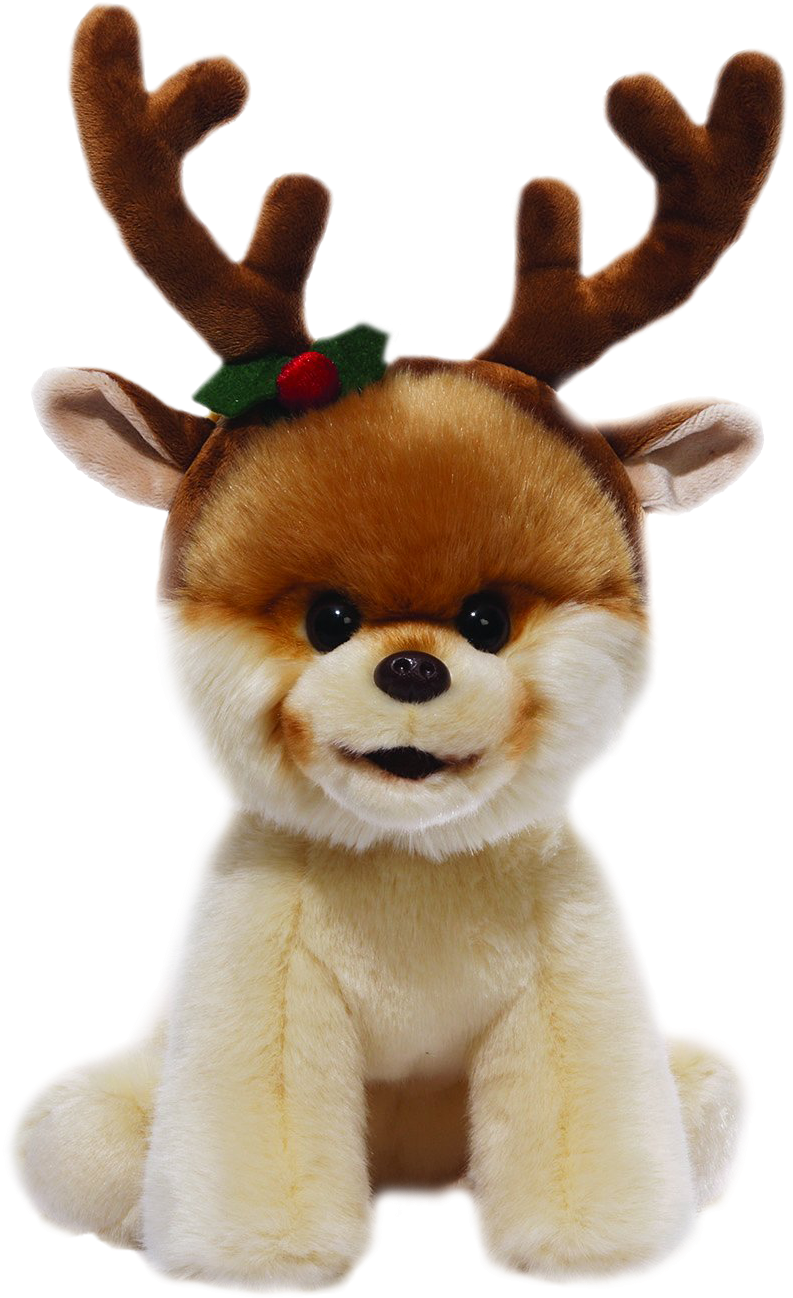 Boo The World's Cutest Dog - Gund Boo 'the World's Cutest Dog' Plush (1500x1500), Png Download