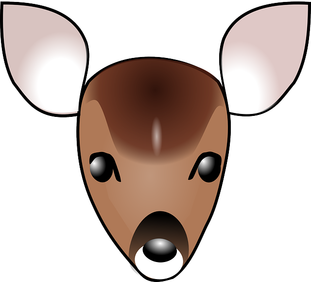 Baby, Head, Face, Cartoon, Deer, Template, Fawn, Heads - Cartoon Deer Head (640x579), Png Download
