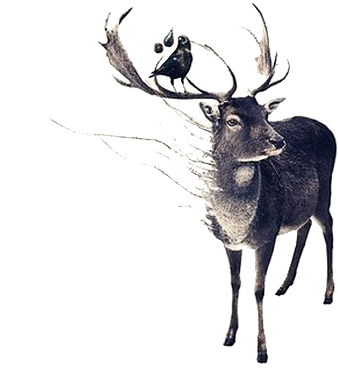Drawing Antlers Hand Drawn - Deer Art (1000x1000), Png Download