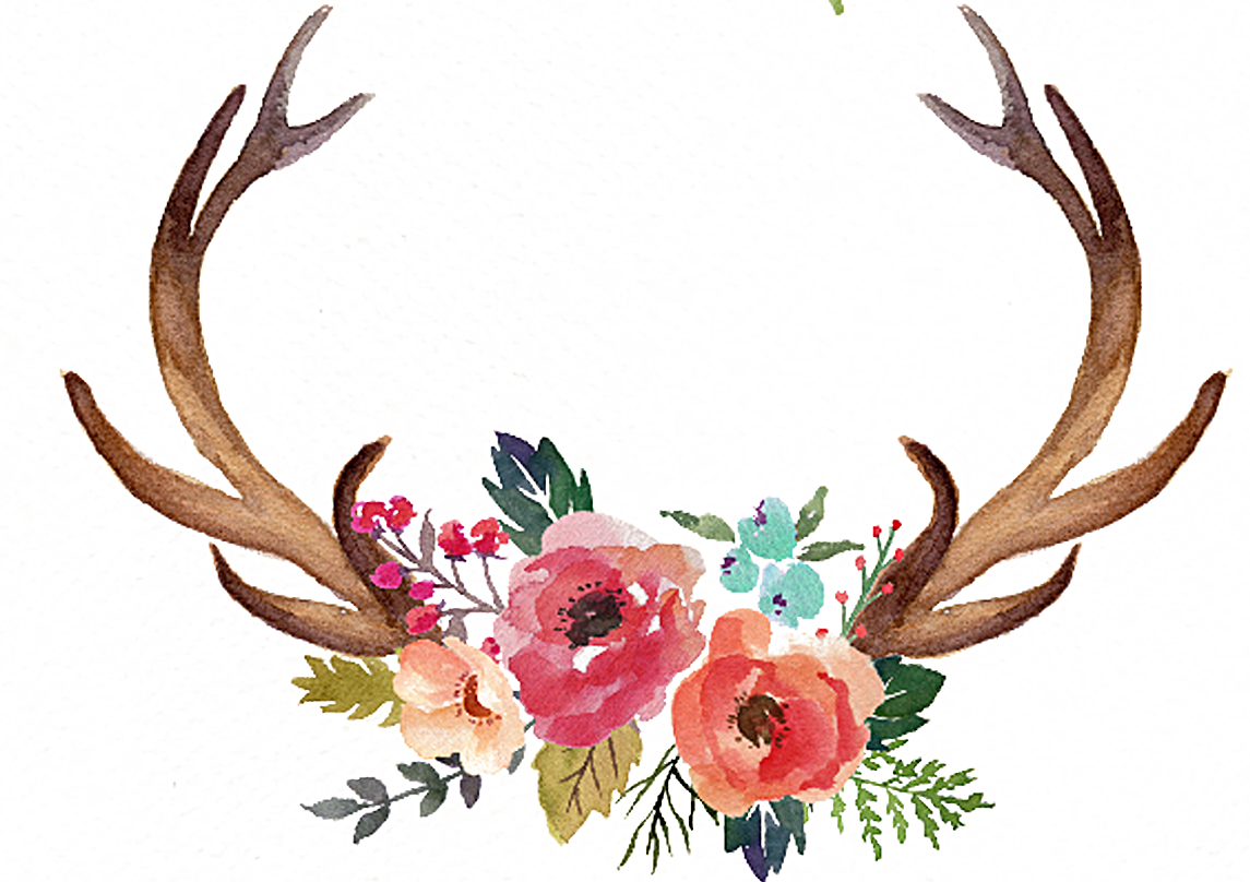 Vector Download Antler Flower Moose Clip Art Hand Painted - Deer Antlers And Flowers (1145x808), Png Download