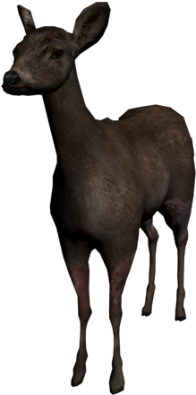 Deer - 3d Deer Png (640x480), Png Download