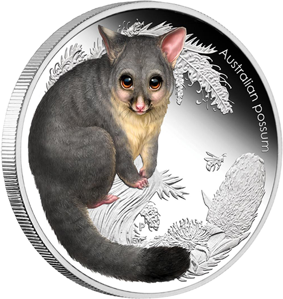 Australia 2013 50 Cents Possum Australian Bush Babies - All Possum Coins Australia (600x600), Png Download