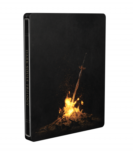Consider This Preordered Already, Despite Owning All - Flame (430x488), Png Download