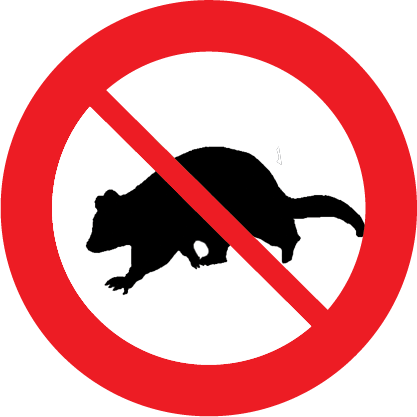 Image - Http - //pestcontrolwagga - Com - - Possum Control (417x417), Png Download