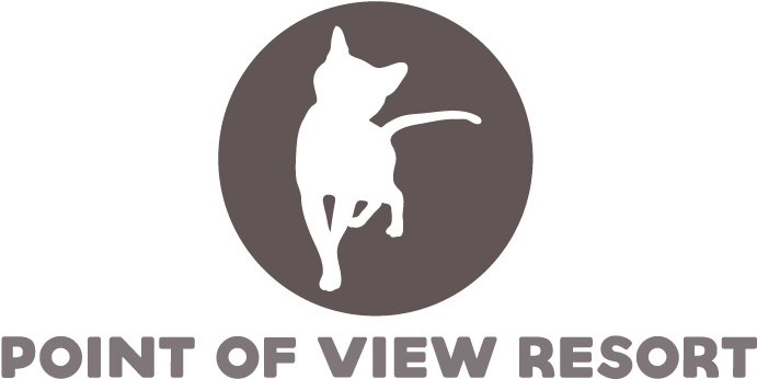 Why You Should Never Declaw Your Cat & How To Get It - Pet (700x350), Png Download