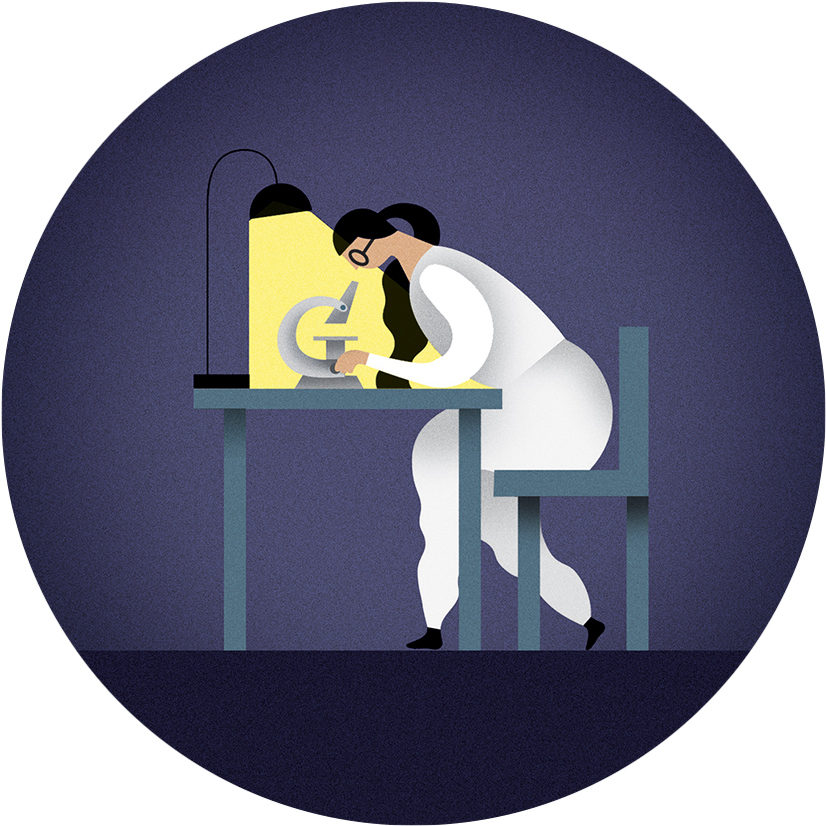 Download Leadbeater's Possum Full Size PNG Image PNGkit