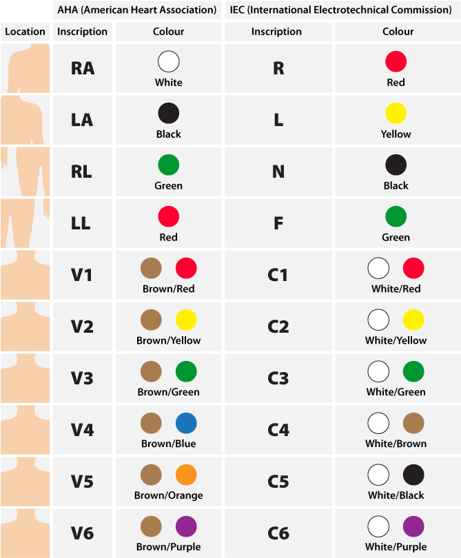 Download Color Coding Standards For The 12lead Ecg Electrocardiography Full Size PNG Image