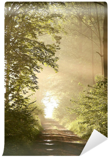 Pathways To Paradise: Meditations For The Spirit (400x400), Png Download