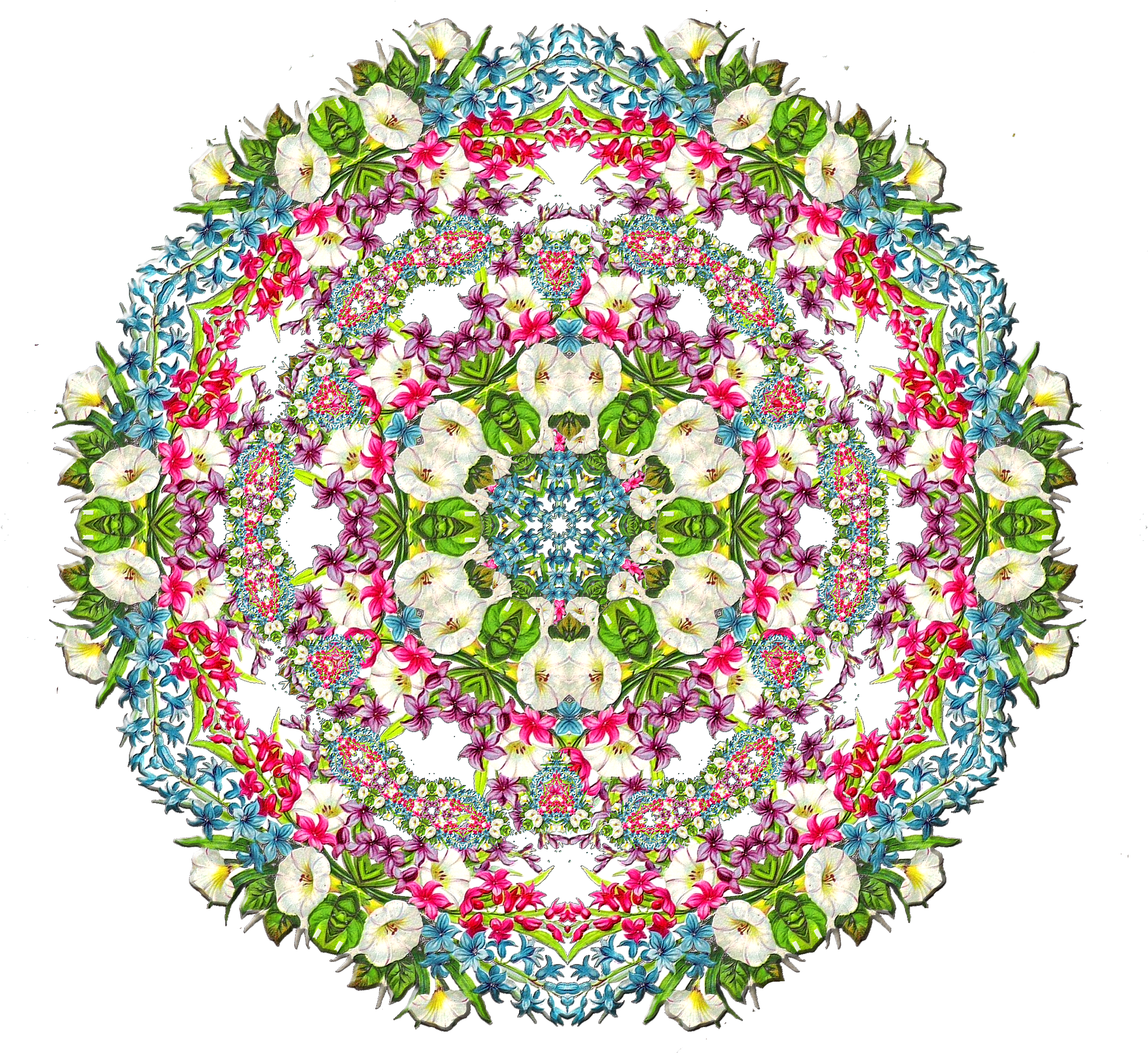 Floral Wreath Tile Background Image 1319194 - Insect Mandala (2500x2500), Png Download