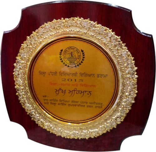 Wooden Trophy - Trophy (500x488), Png Download