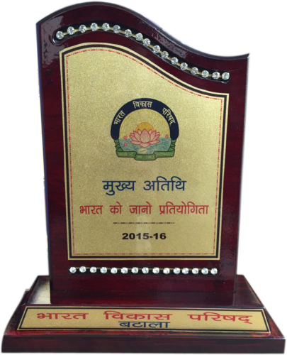 Wooden Award - Award (405x500), Png Download