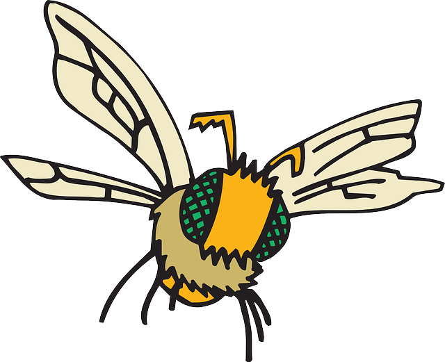 Eyes, Cartoon, Bee, Flying, Insect, Compound, Fuzzy - Flying Insect Png Cartoon (640x521), Png Download