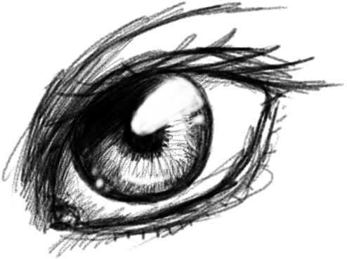 Drawn Eye Transparent - Sketch (576x448), Png Download