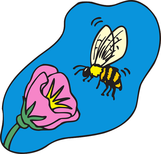 Flower, Cartoon, Bee, Flying, Plant, Insect, With - Cartoon Bee On Flower (640x613), Png Download