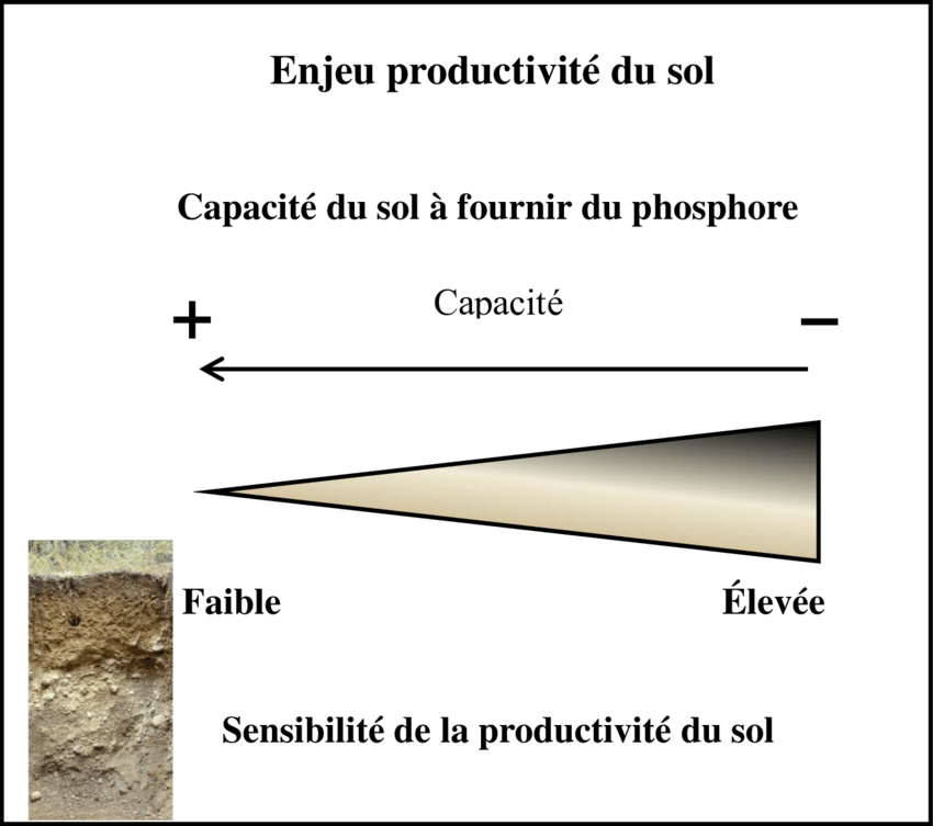 Gradient De Sensibilité Basé Sur La Capacité Du Sol - Organic Matter (850x753), Png Download
