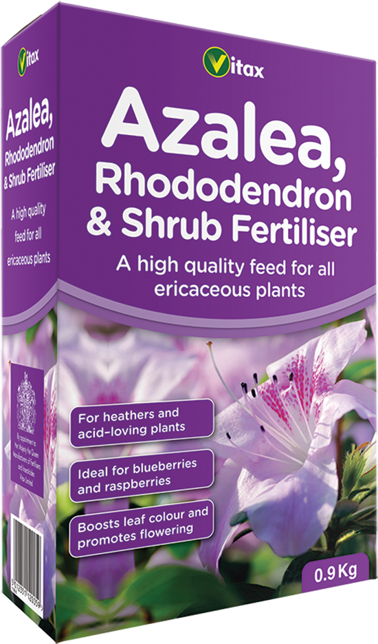 More Views - Shrub (770x1000), Png Download