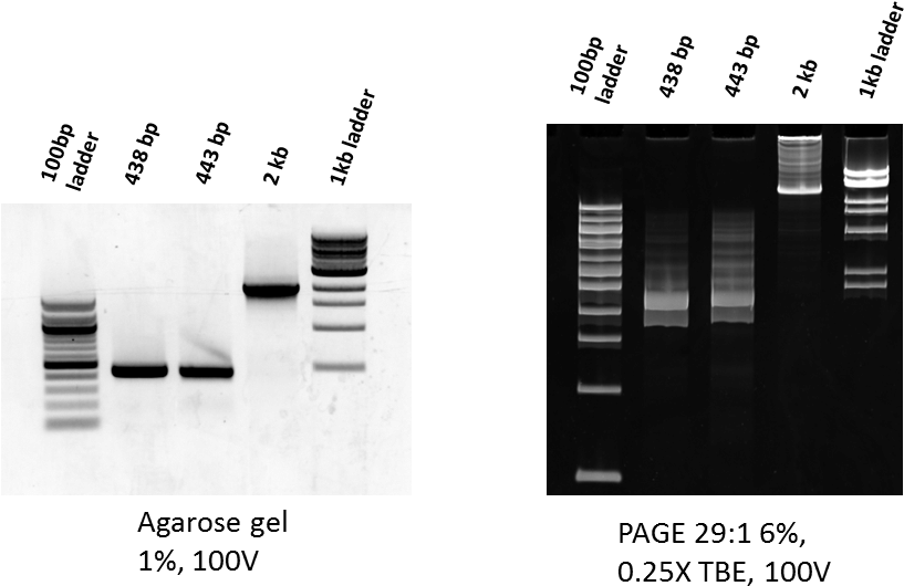 Smear On Page - Us Signal Company, L.l.c. (838x585), Png Download