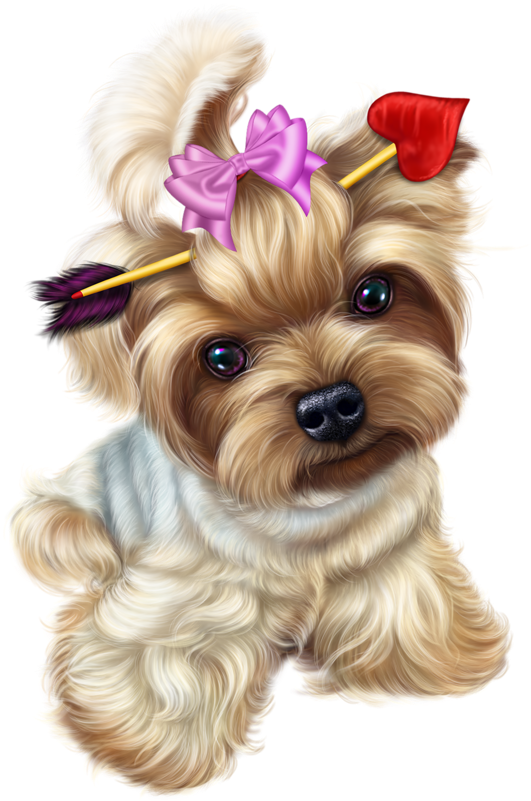 Transparent Yorkie Png Transparent Yorkie - Transparent Background Yorkie Clipart (663x800), Png Download
