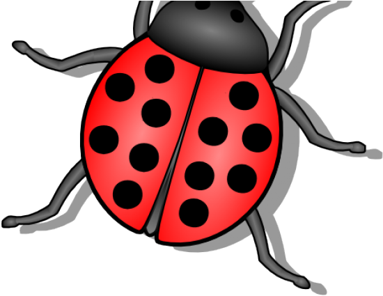 Flies Clipart Small Bug - Lady Bug (640x480), Png Download