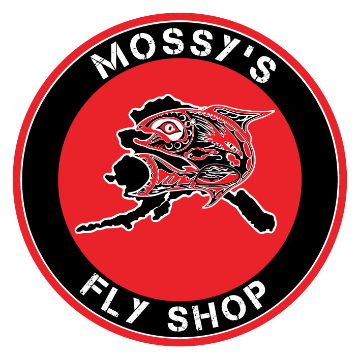 Flies Png (720x720), Png Download