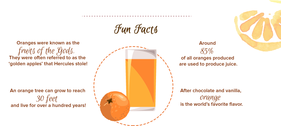 Bigbasket - Circle (1000x420), Png Download