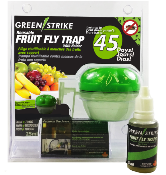 Reusable Fruit Fly Trap - Greenstrike Reusable Fruit Fly Trap With Holder 10048 (632x631), Png Download