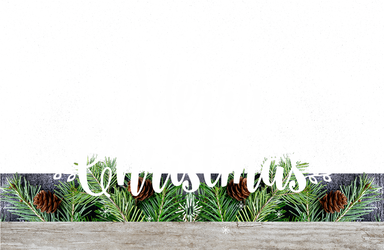 Pine Needle Personalised Christmas Cards - Artificial Turf (1240x1748), Png Download