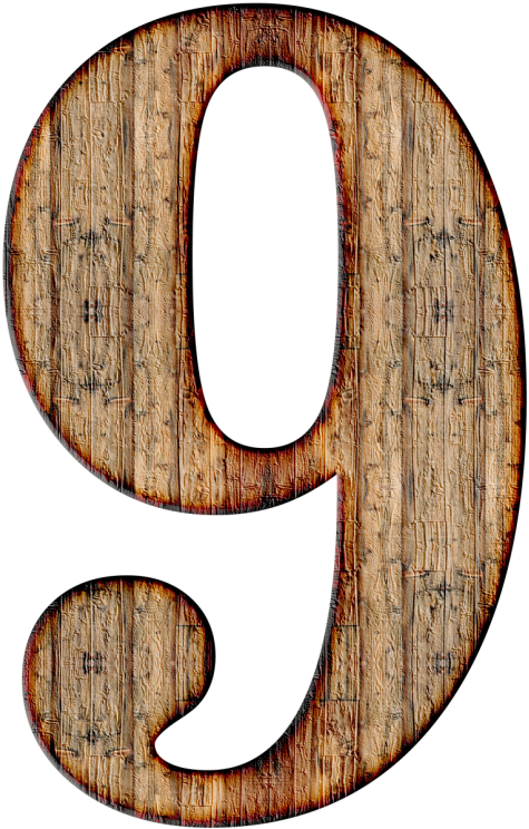 9 Png (500x795), Png Download