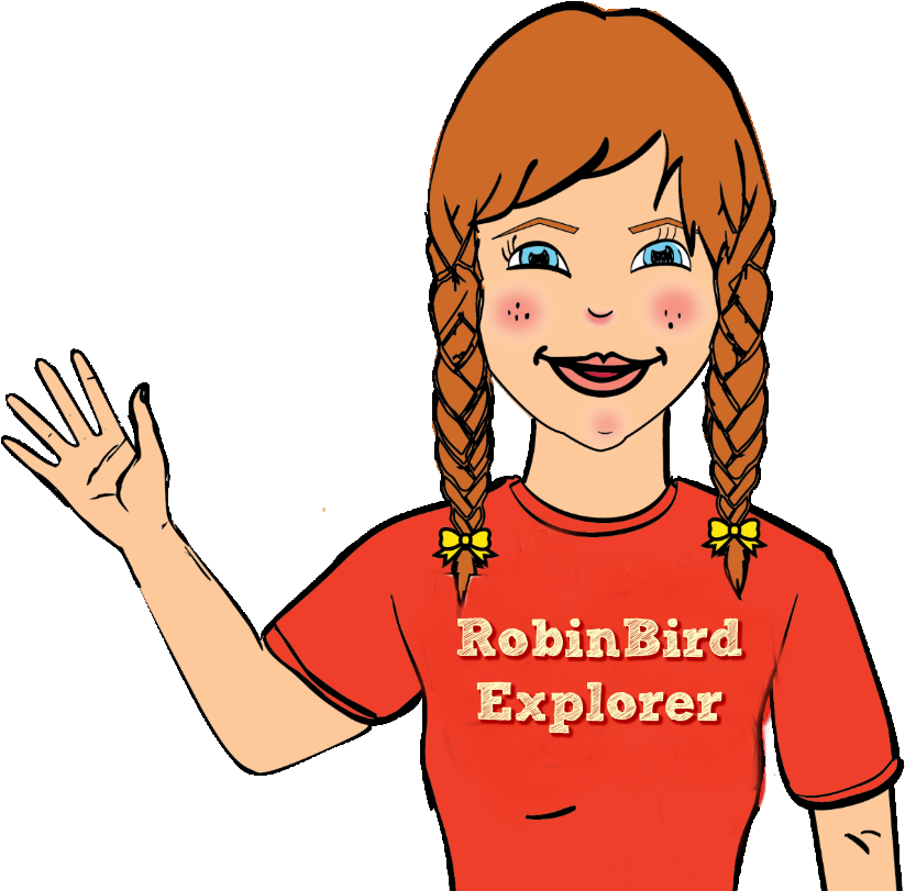 A Different Kind Of Bible Study - European Robin (1000x873), Png Download