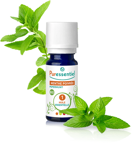Puressentiel Essential Oil Peppermint 10ml - Puressentiel Expert Puressentiel Oil Essential Mint (970x760), Png Download