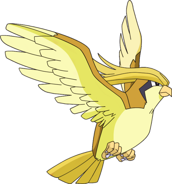 01, September 3, 2013 - Pokemon Pidgeot (562x599), Png Download