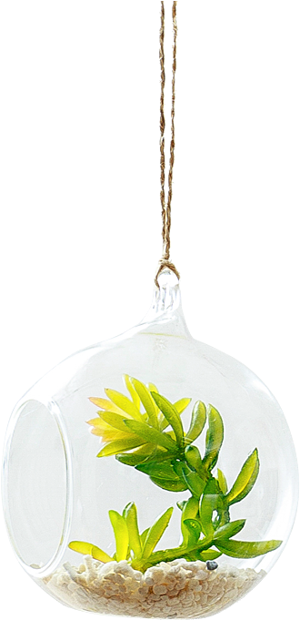 Kindergarten Corridor Hanging Ornaments Creative Window - Room (800x800), Png Download