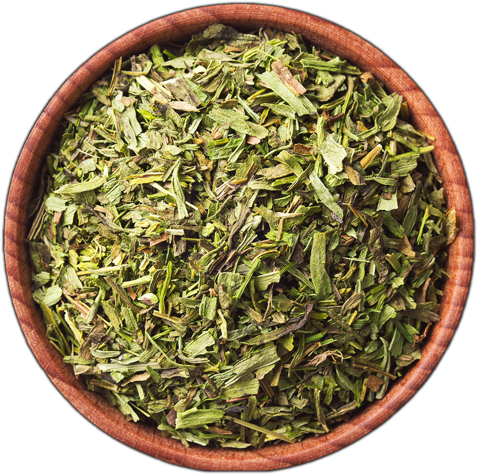Groundcover Png (1200x1000), Png Download