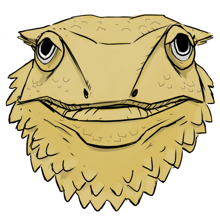 Bearded Dragon - Bearded Dragons (1000x1103), Png Download
