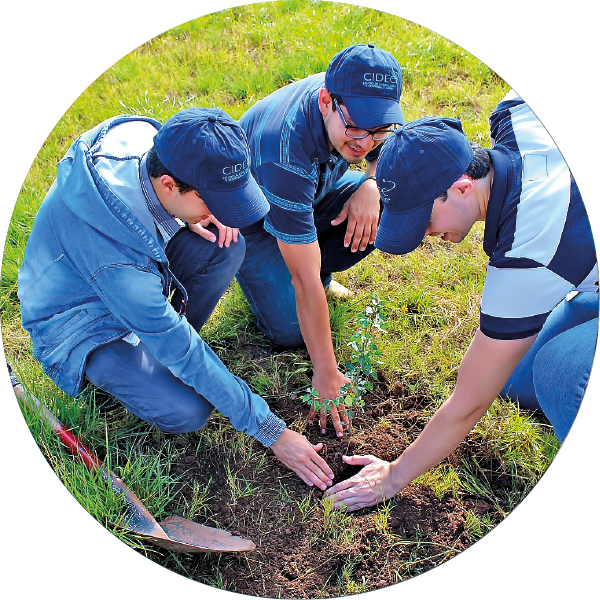 Reforestation Activities By Cidec (600x600), Png Download