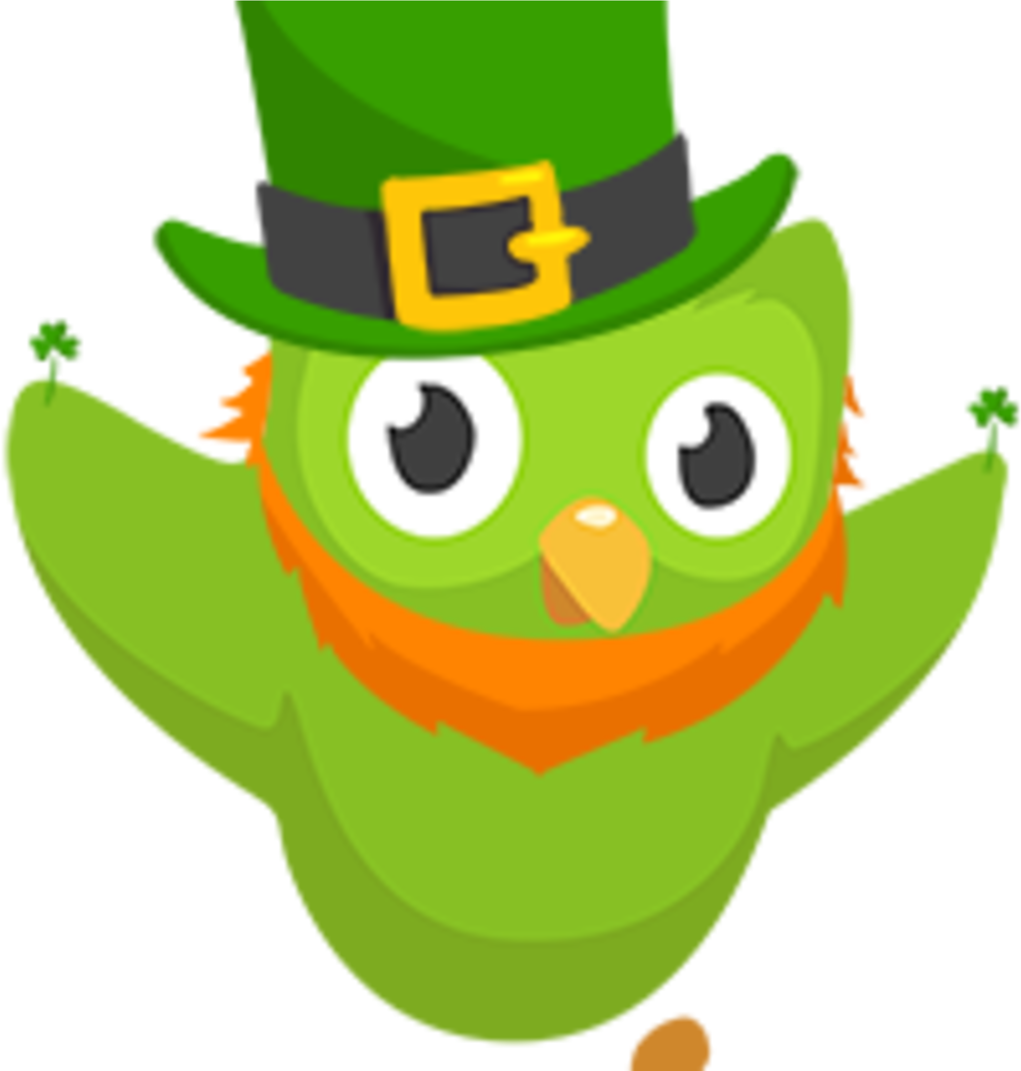 See Irish Meetup Chat, Have Craic, Labhair Gaeilge - Duolingo Ico (2160x2160), Png Download