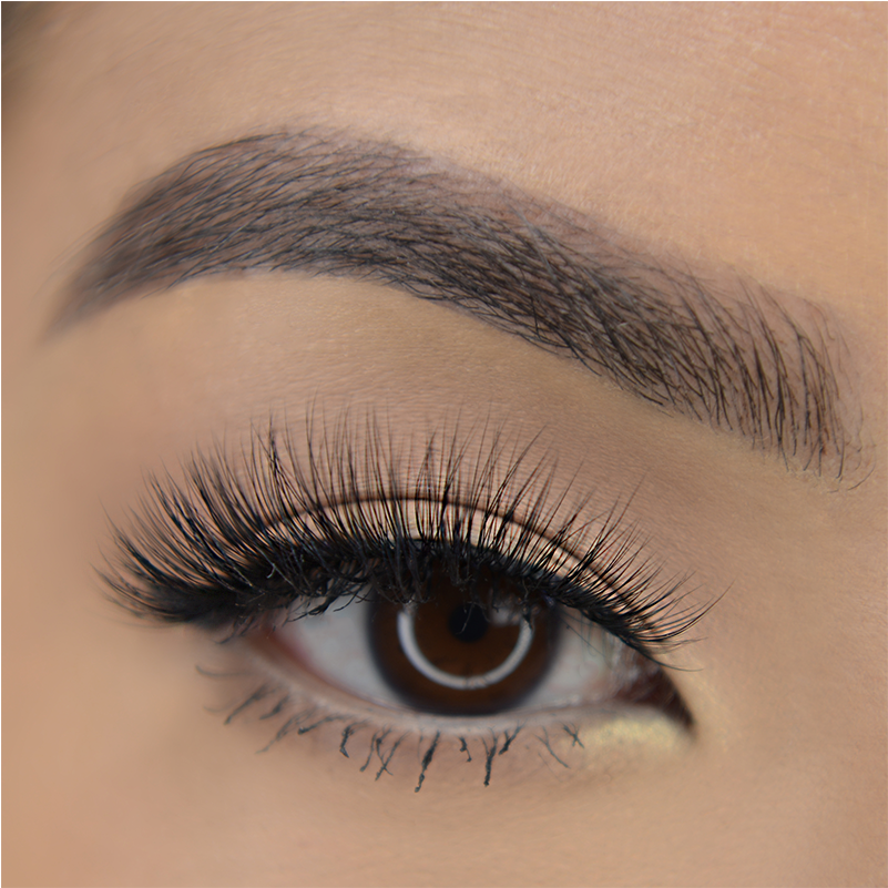 La La Lashes - Los Angeles (800x1000), Png Download