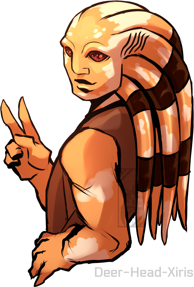 Deer Head Xiris - Deer (800x1016), Png Download