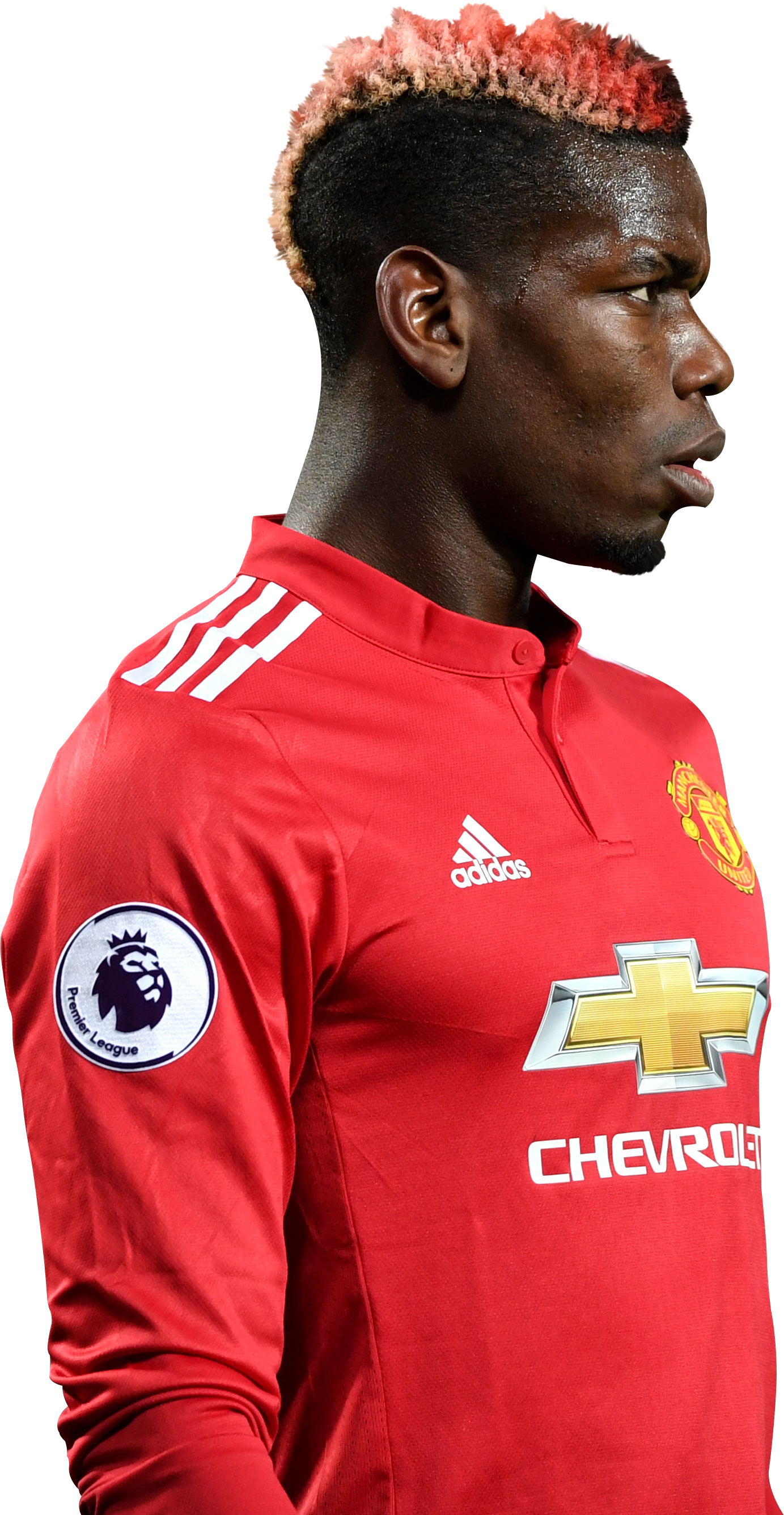 Paul Pogba Rinde - Paul Pogba 2018 Render (1383x2671), Png Download