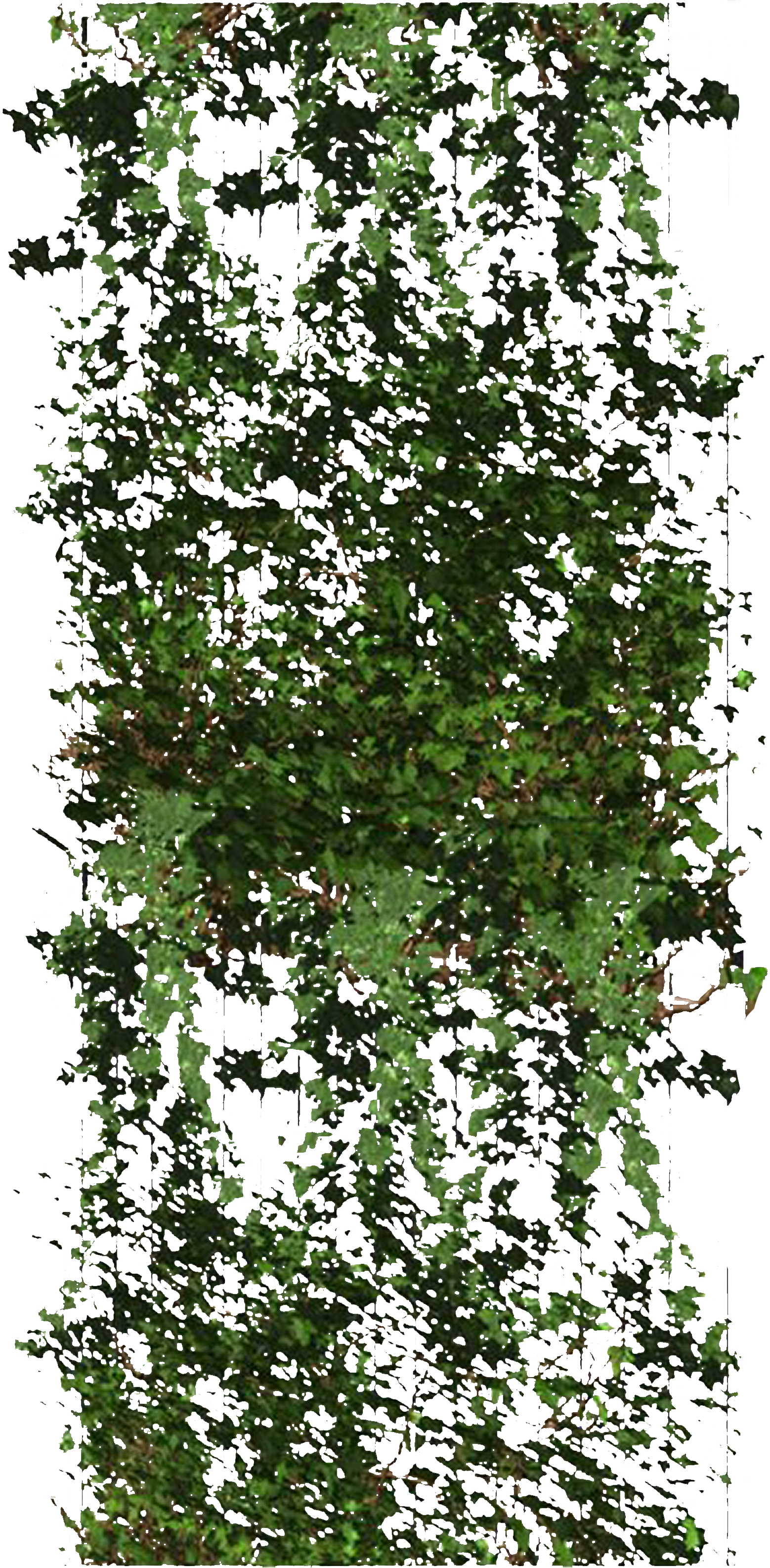Pin By Samantha C On Architecture Material - Mock Orange (1945x3967), Png Download