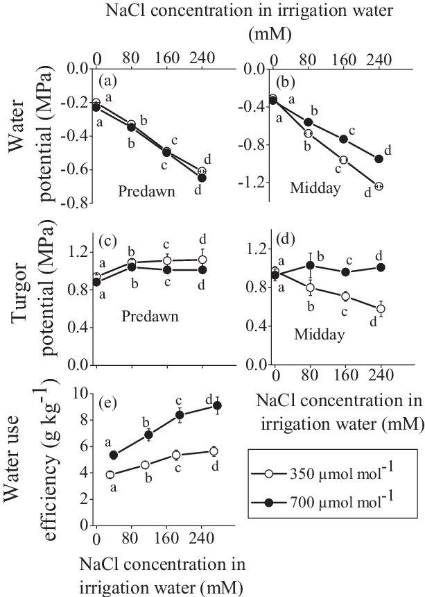 Effect Of Nacl Concentration In The Irrigation Water - Water (613x860), Png Download
