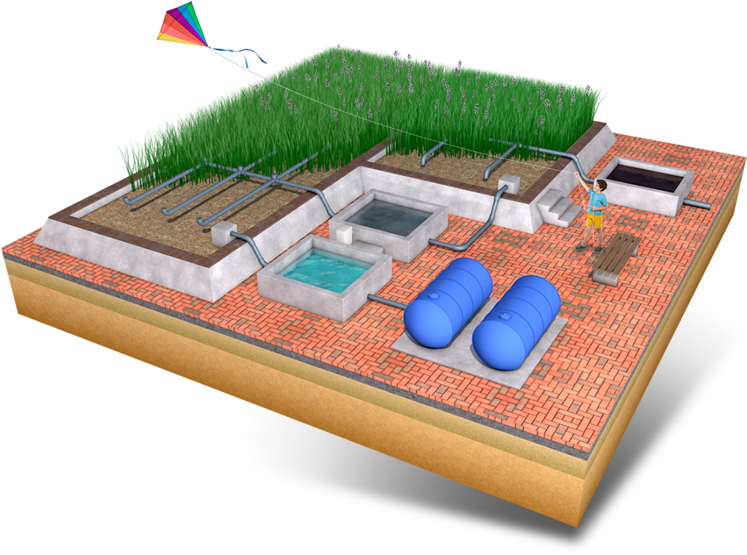 Paddy Field (1100x797), Png Download