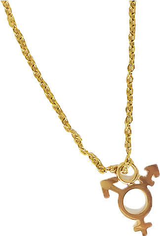 Transsymbolpendant 46b3db89 1c9e 486e 87f6 864afa9f58cb - Locket (900x600), Png Download