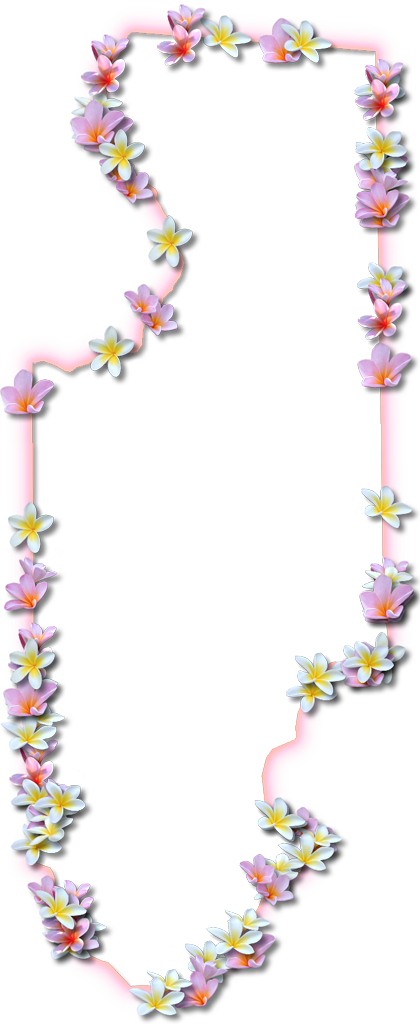 A Map Of Columbia With A Coral Color Glow Border And - Moth Orchid (420x1024), Png Download
