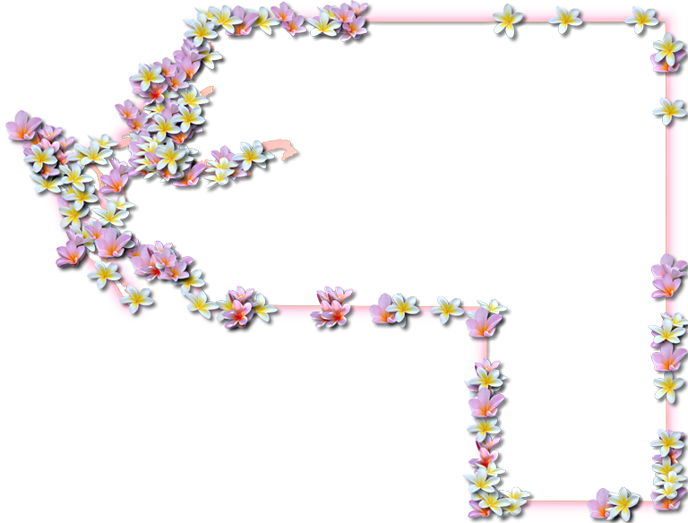 A Map Of Manatee With A Coral Color Glow Border And - Portable Network Graphics (768x584), Png Download