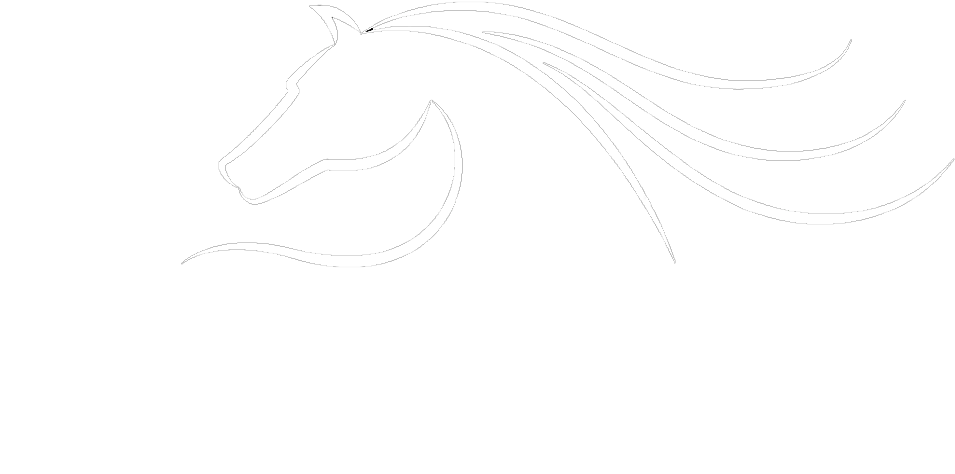 Jpg Royalty Free Download Bluebonnet Carriage Company - Stallion (983x493), Png Download